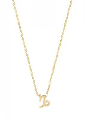 Capricorn Necklace