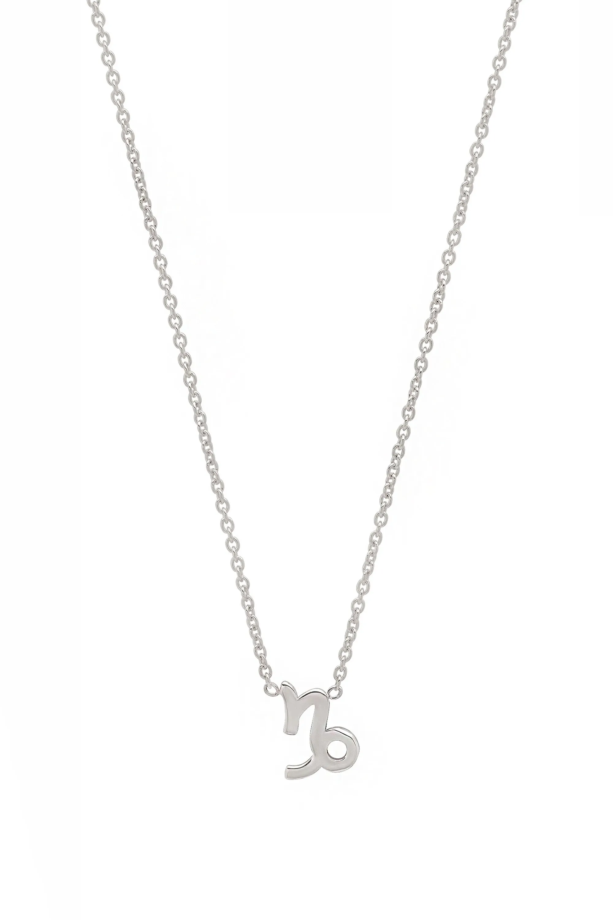 Capricorn Necklace