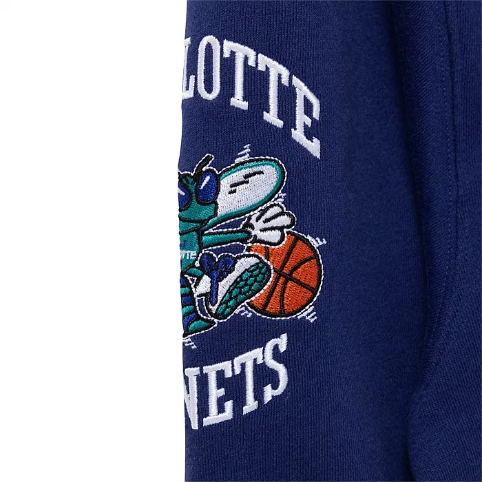 Charlotte Hornets Bugs Are Back Hoodie | Hoodies & Crews | Stirling Sports