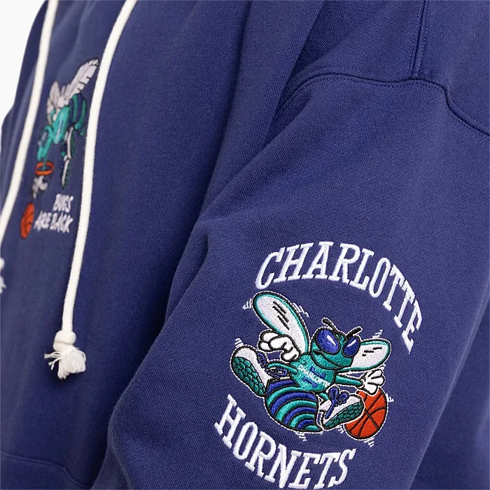 Charlotte Hornets Bugs Are Back Hoodie | Hoodies & Crews | Stirling Sports