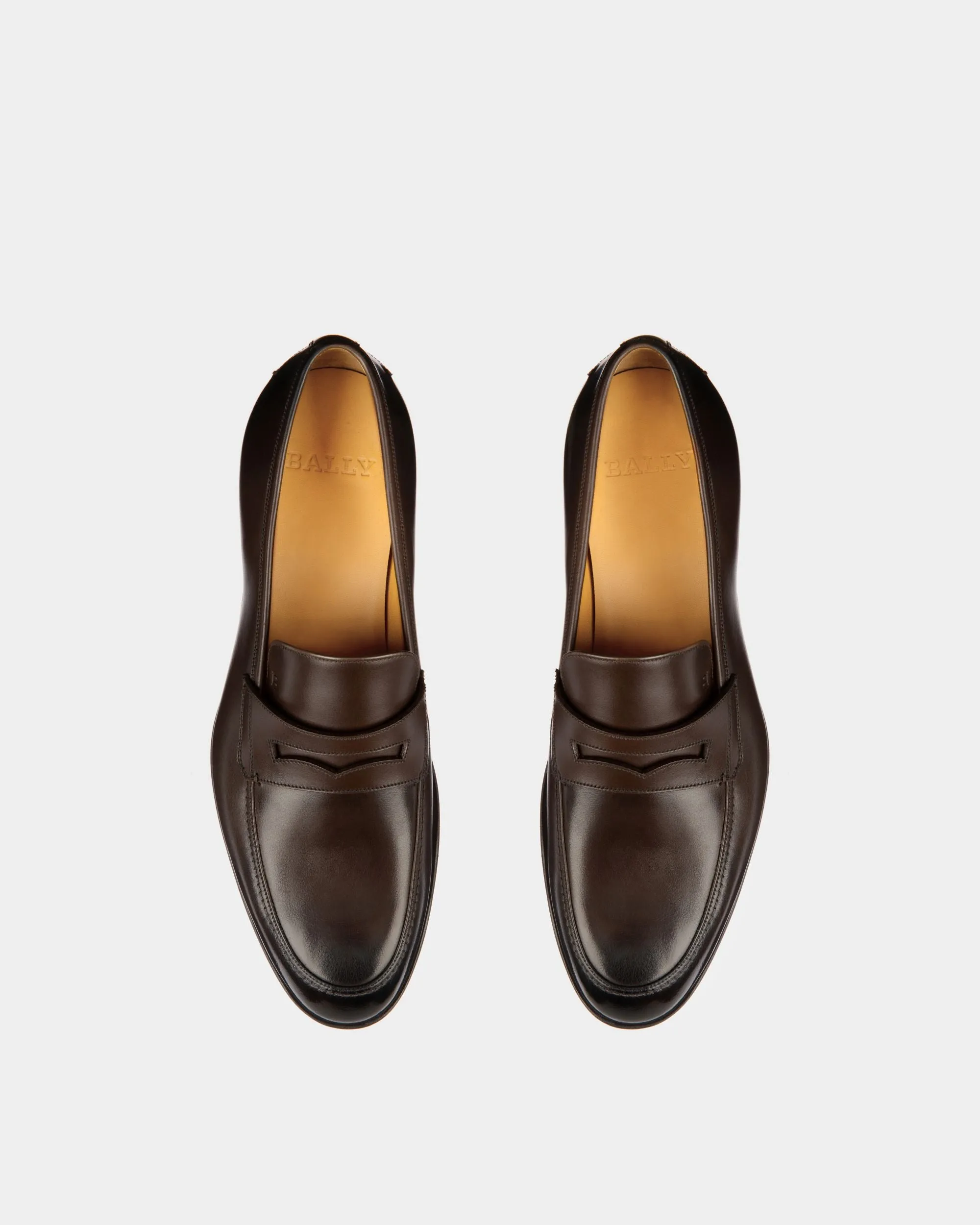 Webb Leather Loafers In Coffee 